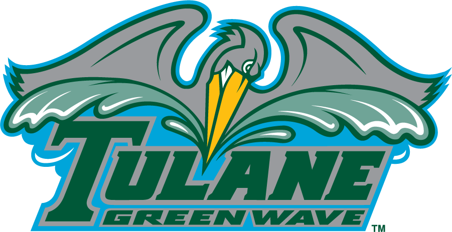 Tulane Green Wave 1998-2005 Primary Logo DIY iron on transfer (heat transfer)